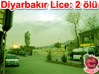 Diyarbakr Lice: 2 l